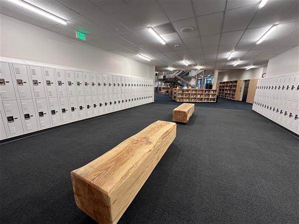 wood benches leading to the library